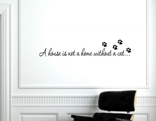 Hovedbilde A house is not a home cat