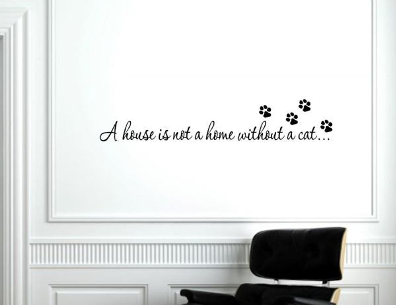 A house is not a home cat