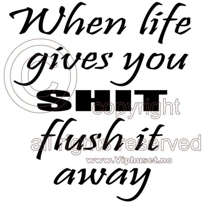 When life gives you shit 4
