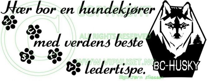Hovedbilde Hær bor en hundekjører