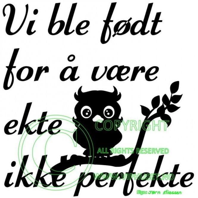 Hovedbilde Vi ble født