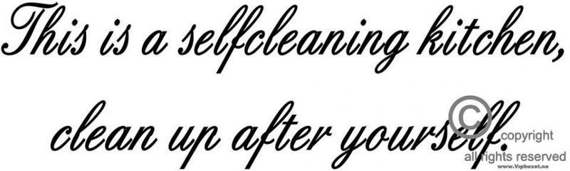 This is a self cleaning
