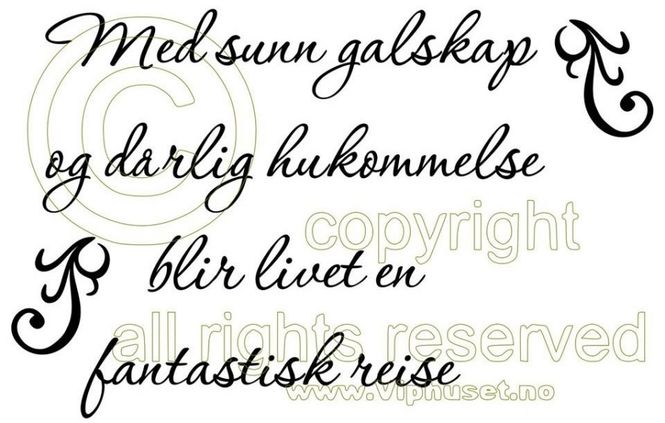 Hovedbilde Med sunn galskap 