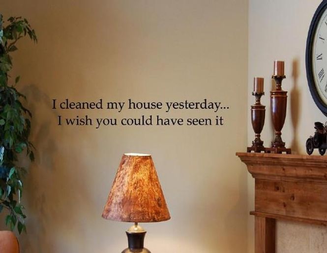 Hovedbilde I cleaned my house