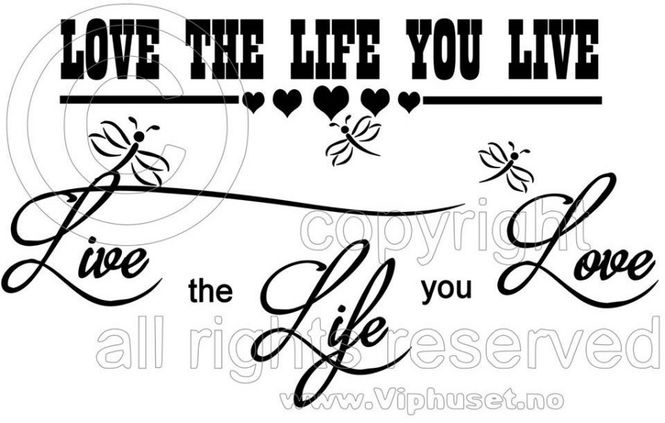 Hovedbilde Love the life you live