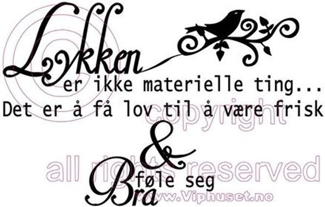Hovedbilde Lykken er ikke materielle ...