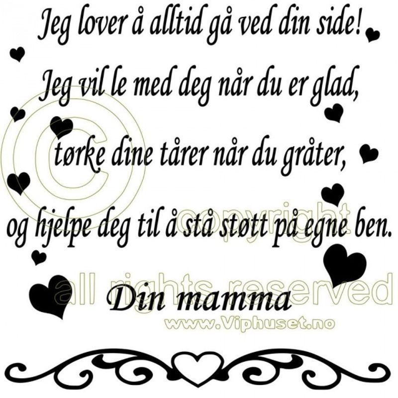 Jeg lover å alltid gå ved din side