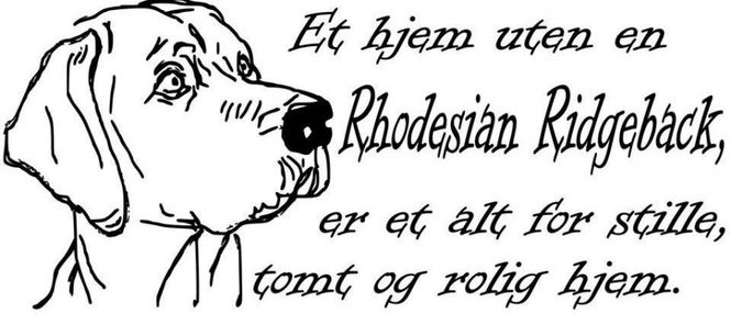 Hovedbilde Et hjem uten en Rhodesian ...