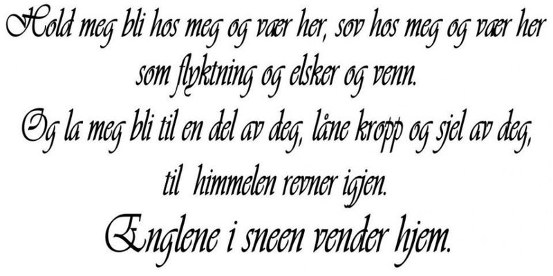 Engler i sneen