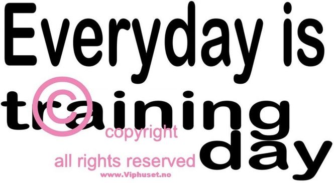 Hovedbilde Everyday is