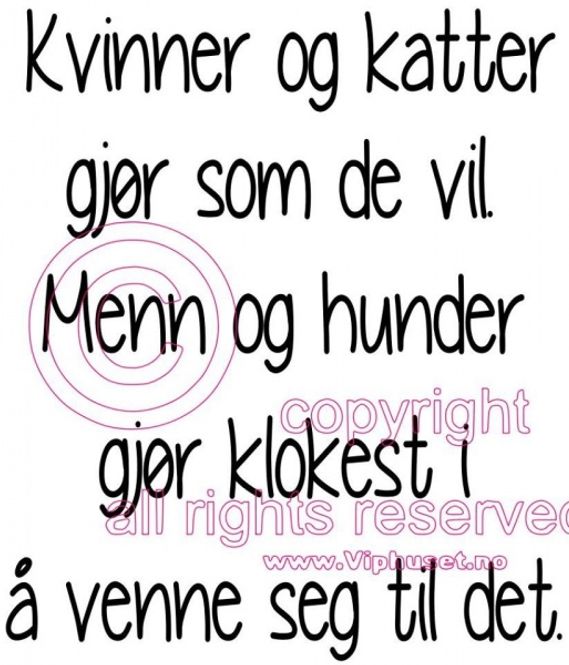 Hovedbilde Kvinner og katter