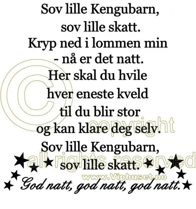 Hovedbilde Sov lille kengubarn