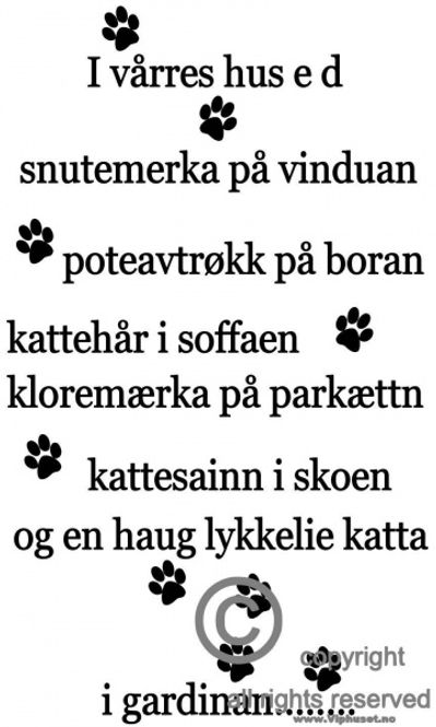 Hovedbilde I vårres