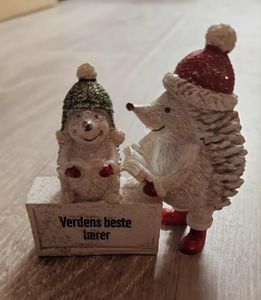 Hovedbilde Pinnsvin Verdens...lærer ...