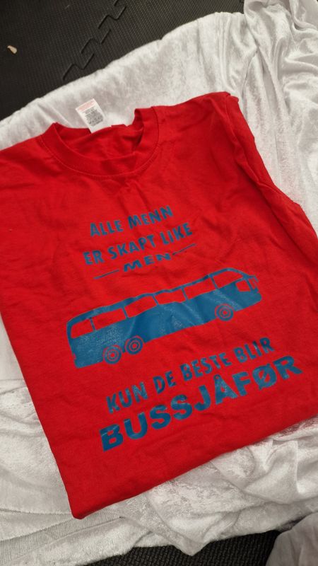 Alle menn bussjåfør ( S )