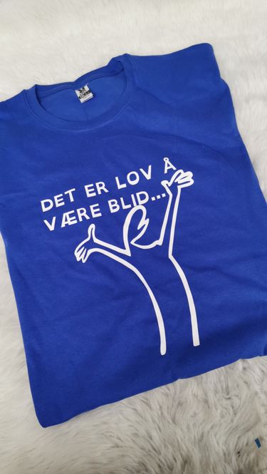 Hovedbilde Streken ~ det er lov å være ...
